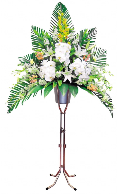 ���ԕ��C���[�W�@���̂V