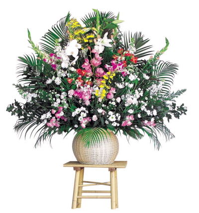 ���ԕ��C���[�W�@���̂X