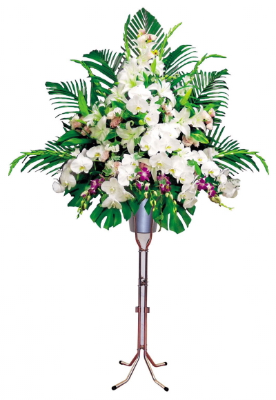 ���ԕ��C���[�W�@���̂P�O